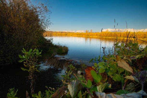 istock Autumn lake and grass in the foreground. 2176662914