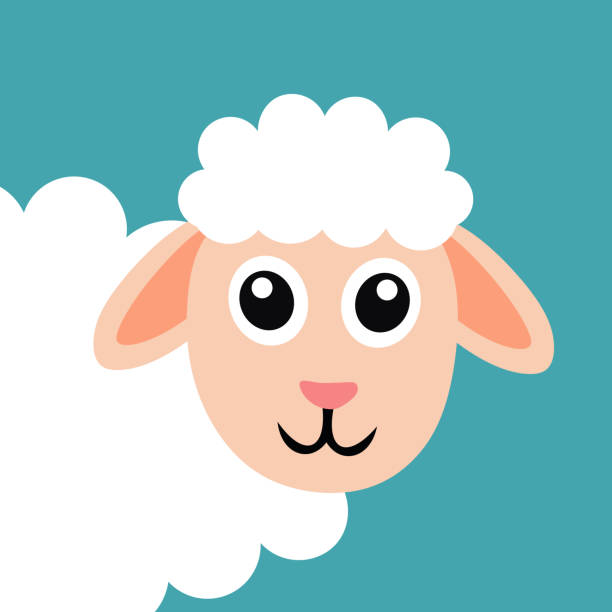 Sheep Front Vector 3,900+ Sheep Front View Stock Photos, Pictures & Royalty-Free Images ...
