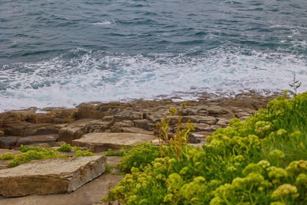 A sea wave rolls onto coastal rocks.