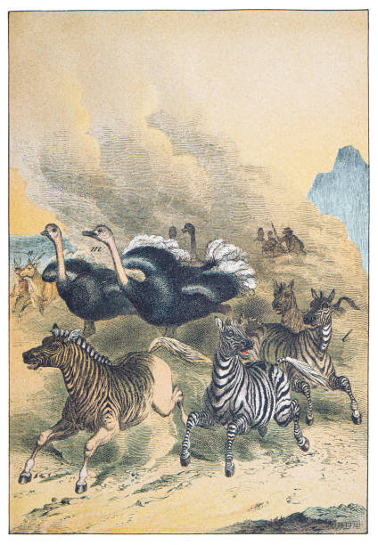 Hand colored engraving - Instructive Recreations for Youth. III. Series. Third Edition. Esslingen. J. F. Schreiber. 1876.
