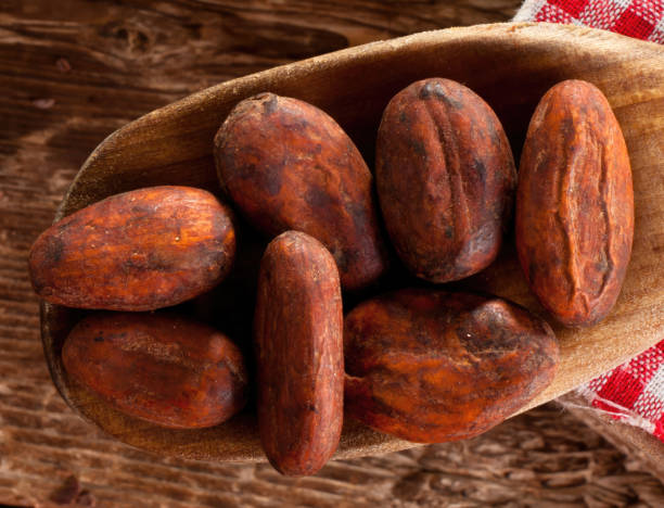 istock Roasted cocoa beans resting in wooden spoon on rustic table 2176686776