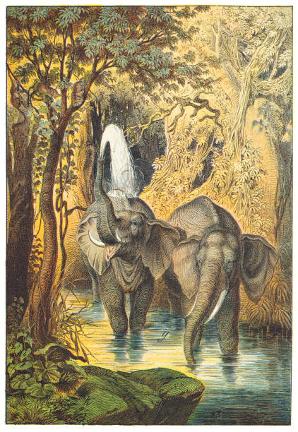 Hand colored engraving - Instructive Recreations for Youth. III. Series. Third Edition. Esslingen. J. F. Schreiber. 1876.