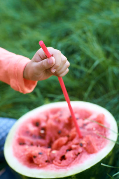 Child enjoying a refreshing watermelon drink in summer garden setting. Weekend family cheerful play