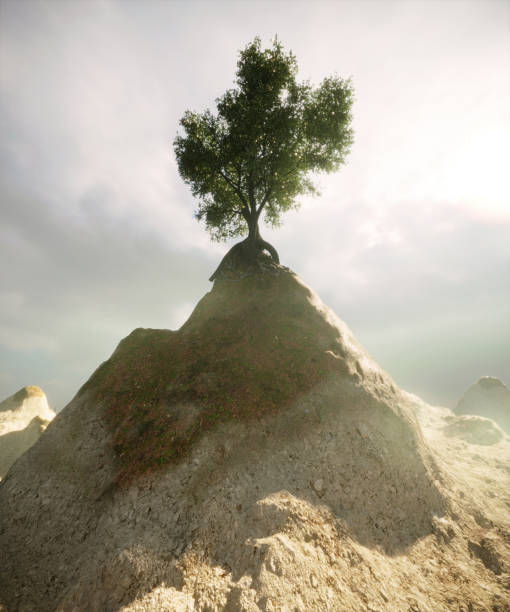 istock An ancient tree on top of the mountain 2176693569
