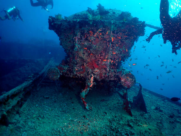 istock Underwater photography Egypt 2176694028