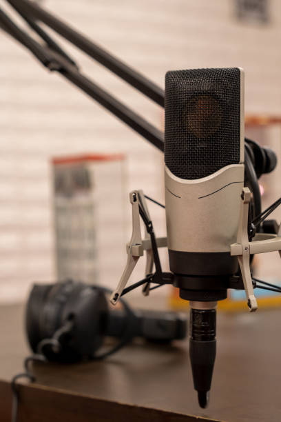 istock Close-up of a professional studio microphone condenser with a shock mount and boom arm, 2176700936