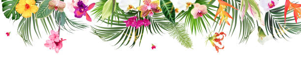Tropical banner arranged from exotic emerald leaves and exotic flowers. Paradise plants, greenery and palm card. vector art illustration