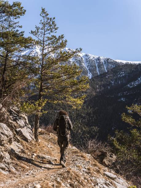 A lone hiker with a backpack walks along a narrow mountain trail in the French Alps. The snow-capped peaks and dense forests in the background create a breathtaking alpine landscape under clear skies.