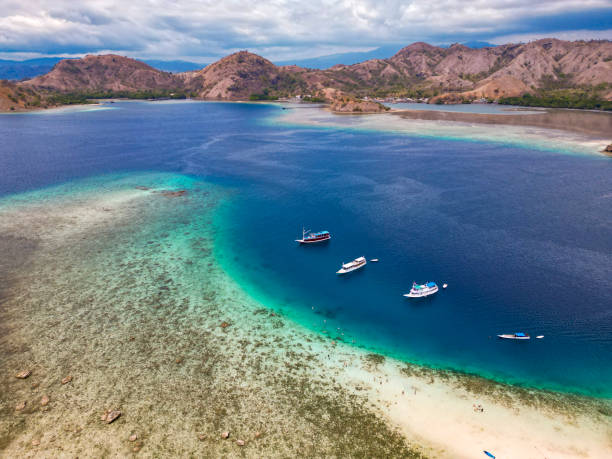 istock Moringa Island, Komodo National Park, Indonesia 2176719528