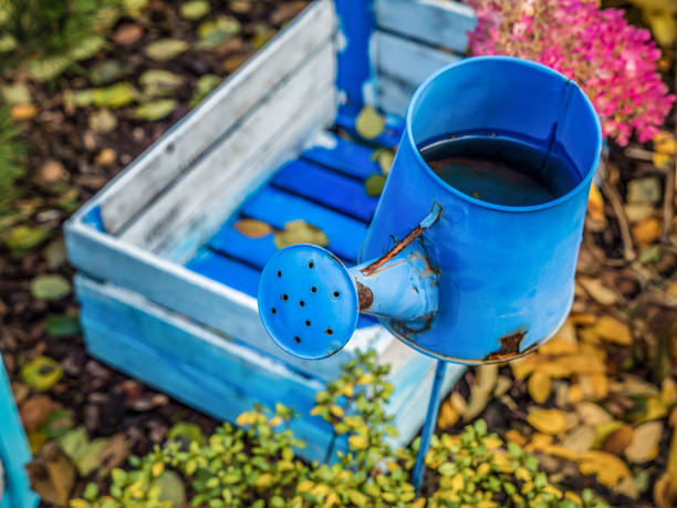 Garden decoration of wooden crate and watering can painted in blue color