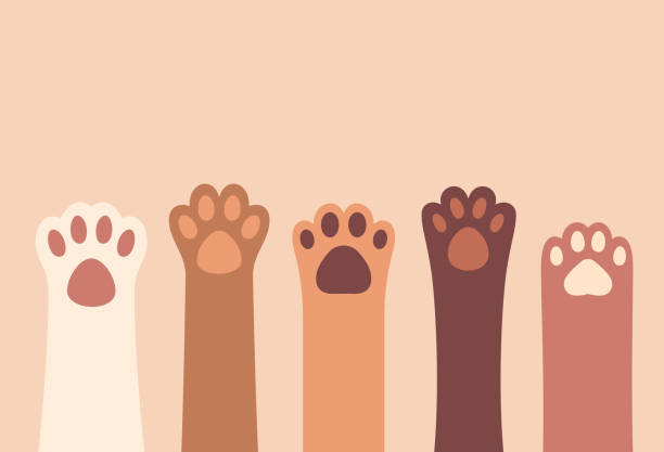 Pet Paws Raised Background Cat or dog pet paws raised beige horizontal volunteering abstract background. paw print illustrations stock illustrations