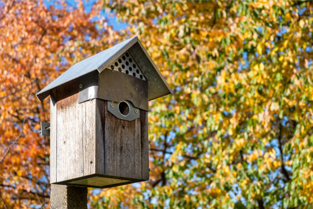 istock Wooden birdhouse on pole in fall 2176728424