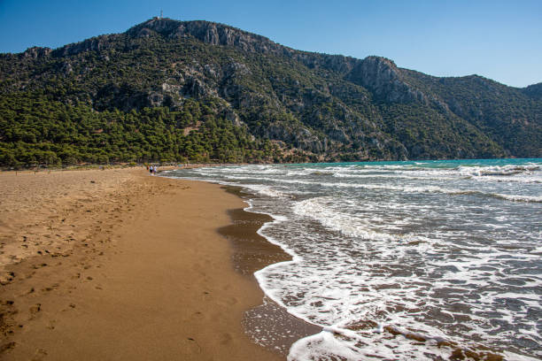 Dalyan Iztuzu beach