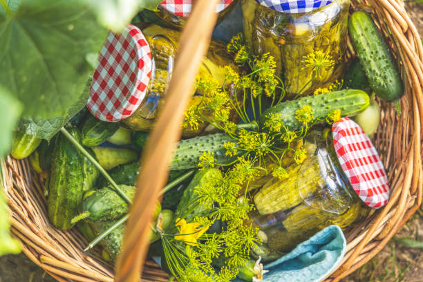istock Freshly picked cucumbers and dill waiting to be pickled in jars 2176743790