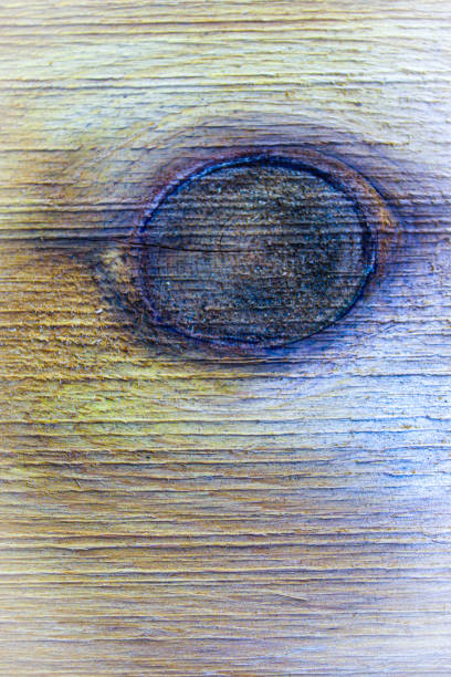 istock Abstract wood grain texture with big eye knot background 2176748768