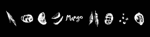 istock Mango icons set. Charcoal drawings. Organic Mango signs. Tropical fruit symbol. 2176750980