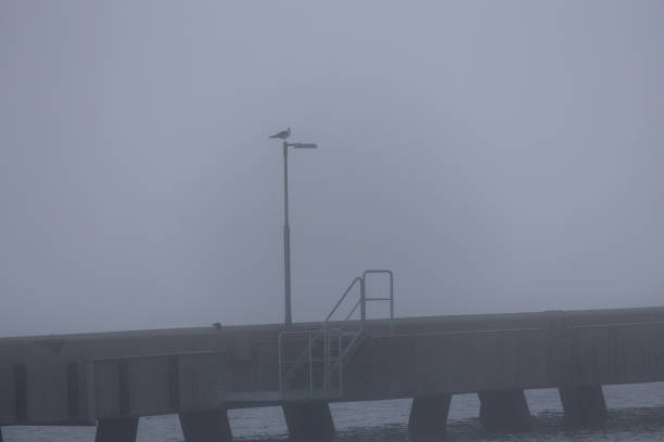 Sidney Pier on a foggy morning.