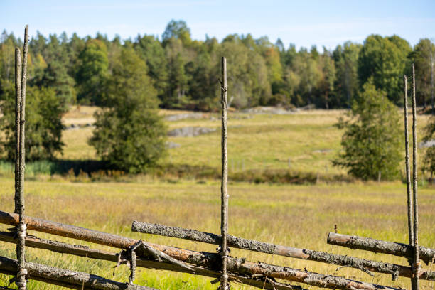 Rustic wooden fence in a lush green meadow with forest background.