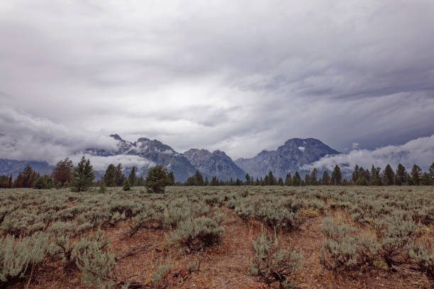 The Grand Tetons on a stormy day in August.
