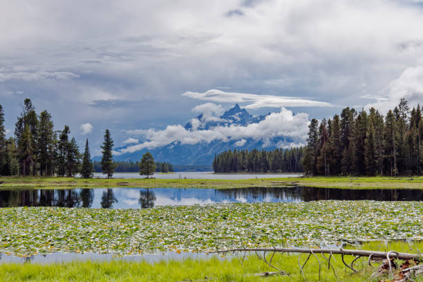 Grand Teton on a stormy day in August as seen from Heron Pond on the Heron Pond - Swan Lake Loop Trail