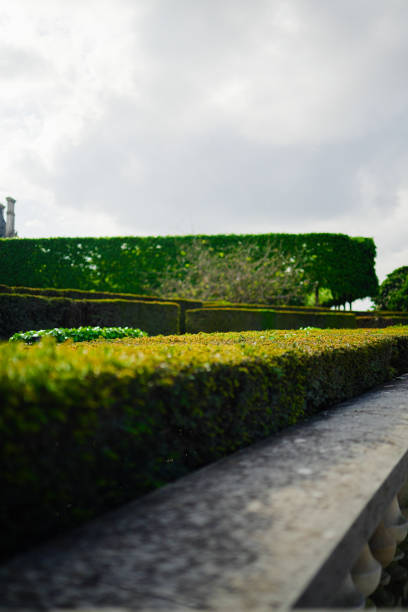 Figure cut bushes in the park around Hofburg in central Vienna