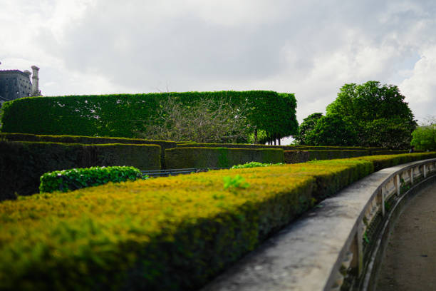 Cultivated Park Environment with Clean Trimmed Bushes in the Sun