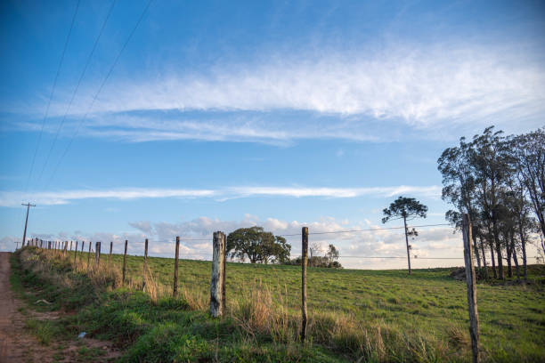 istock Rural landscape in southern Brazil. 2176774689