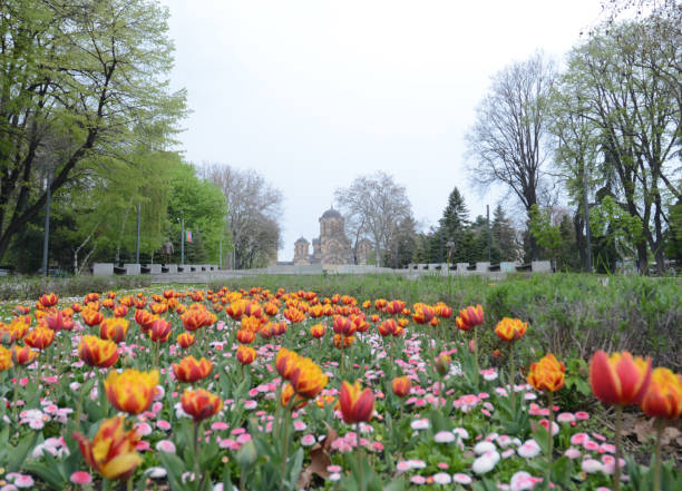istock flowers in public park in Belgrade 2176774946