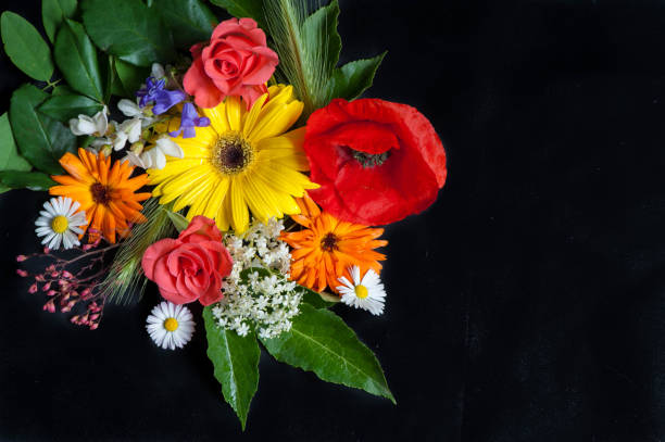 A bouqet of rose, an elderberry, poppies, gerbera flowers and an acacia on the black background