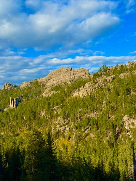 istock Needles Highway, South Dakota 2176783113