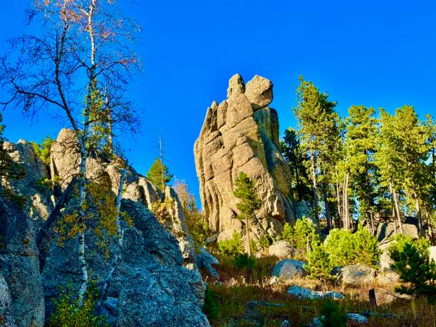 istock Needles Highway, South Dakota 2176783244