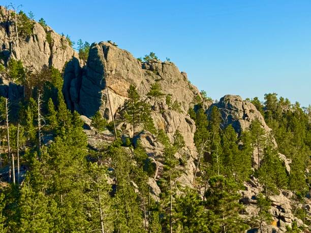 istock Needles Highway, South Dakota 2176783531