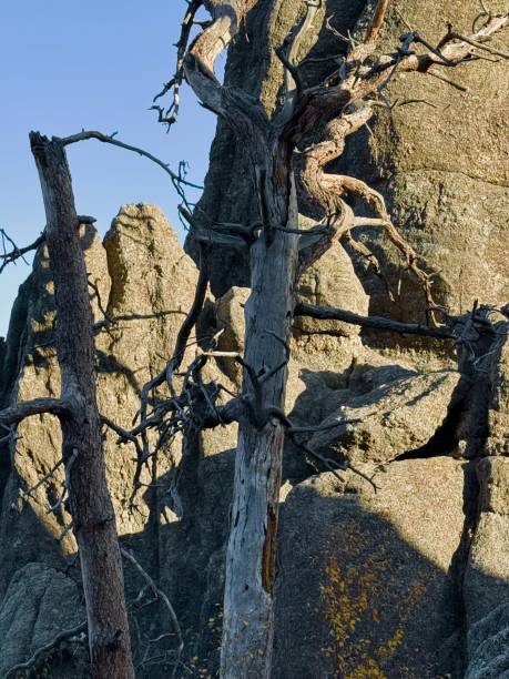 istock Needles Highway, South Dakota 2176783605