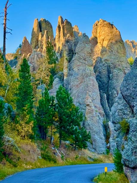 istock Needles Highway, South Dakota 2176783750