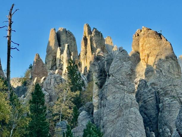 istock Needles Highway, South Dakota 2176786288