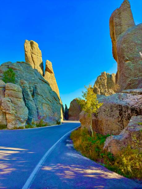 istock Needles Highway, South Dakota 2176788659