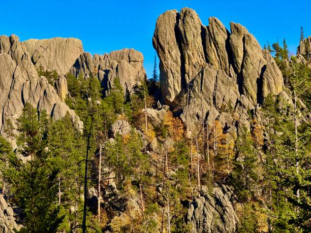 istock Needles Highway, South Dakota 2176788894