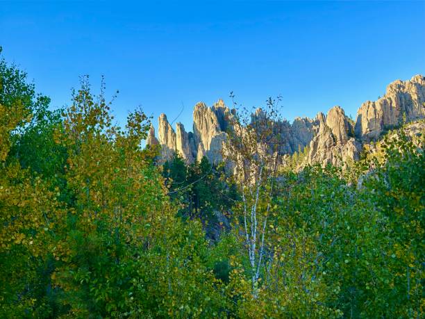 istock Needles Highway, South Dakota 2176791375
