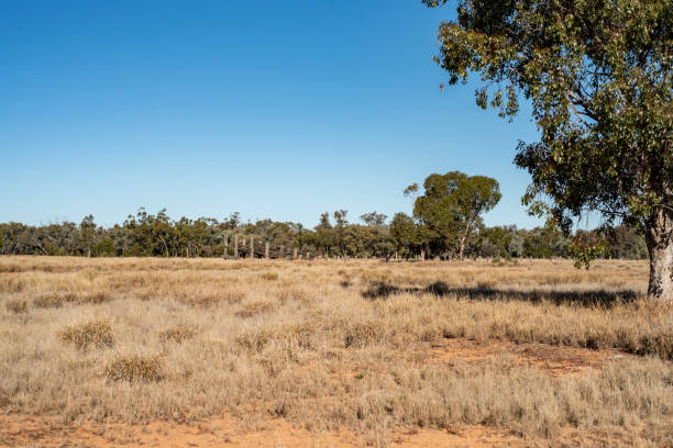istock site of abandoned village 2176791701