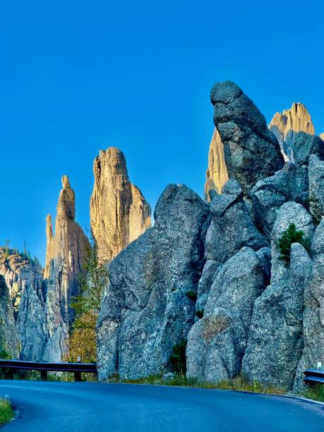 istock Needles Highway, South Dakota 2176791859