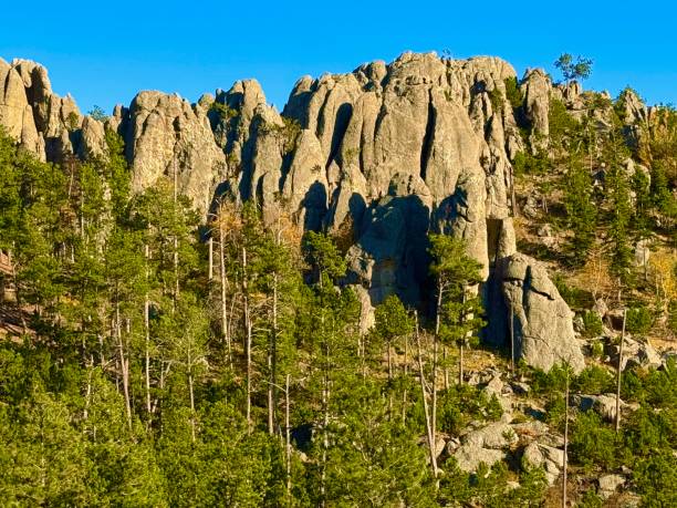 istock Needles Highway, South Dakota 2176791961