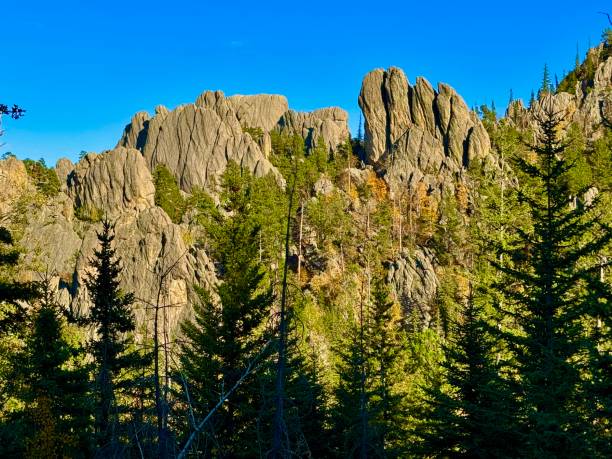 istock Needles Highway, South Dakota 2176792428
