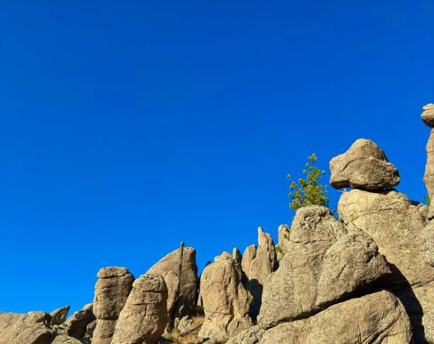 istock Needles Highway, South Dakota 2176793143
