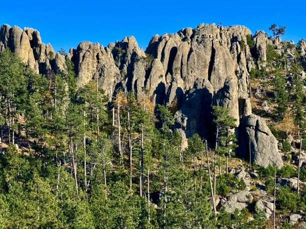 istock Needles Highway, South Dakota 2176793509