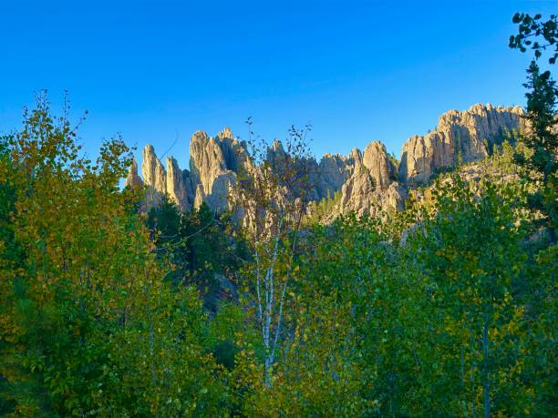 The Needles Highway is a spectacular drive through pine and spruce forests, meadows surrounded by birch and aspen, and rugged granite mountains.