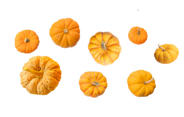 istock orange autumn pumpkins for Halloween set on a white background 2176795835