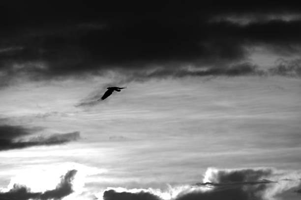 istock Clouds at dawn. Natural landscape background material. 2176796026