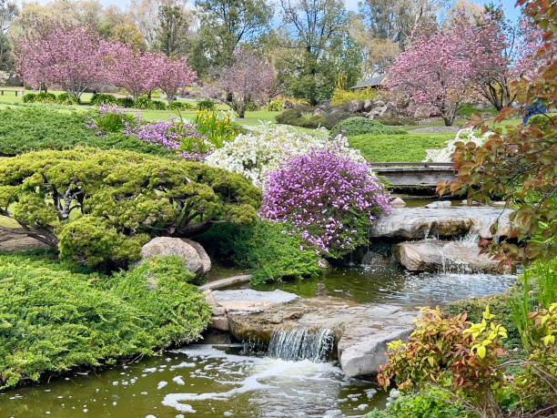 Japanese Garden - Cowra