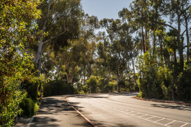 istock Road Through Lush California Foliage 2176797207