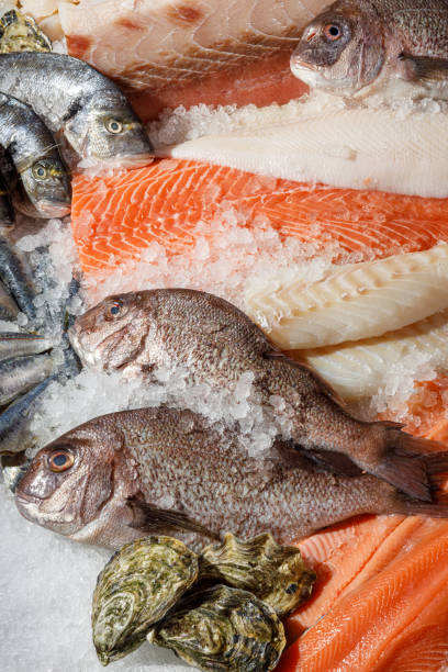 istock Experience the Fresh Seafood Selection Displayed on Ice A Vibrant Market Showcase 2176800989